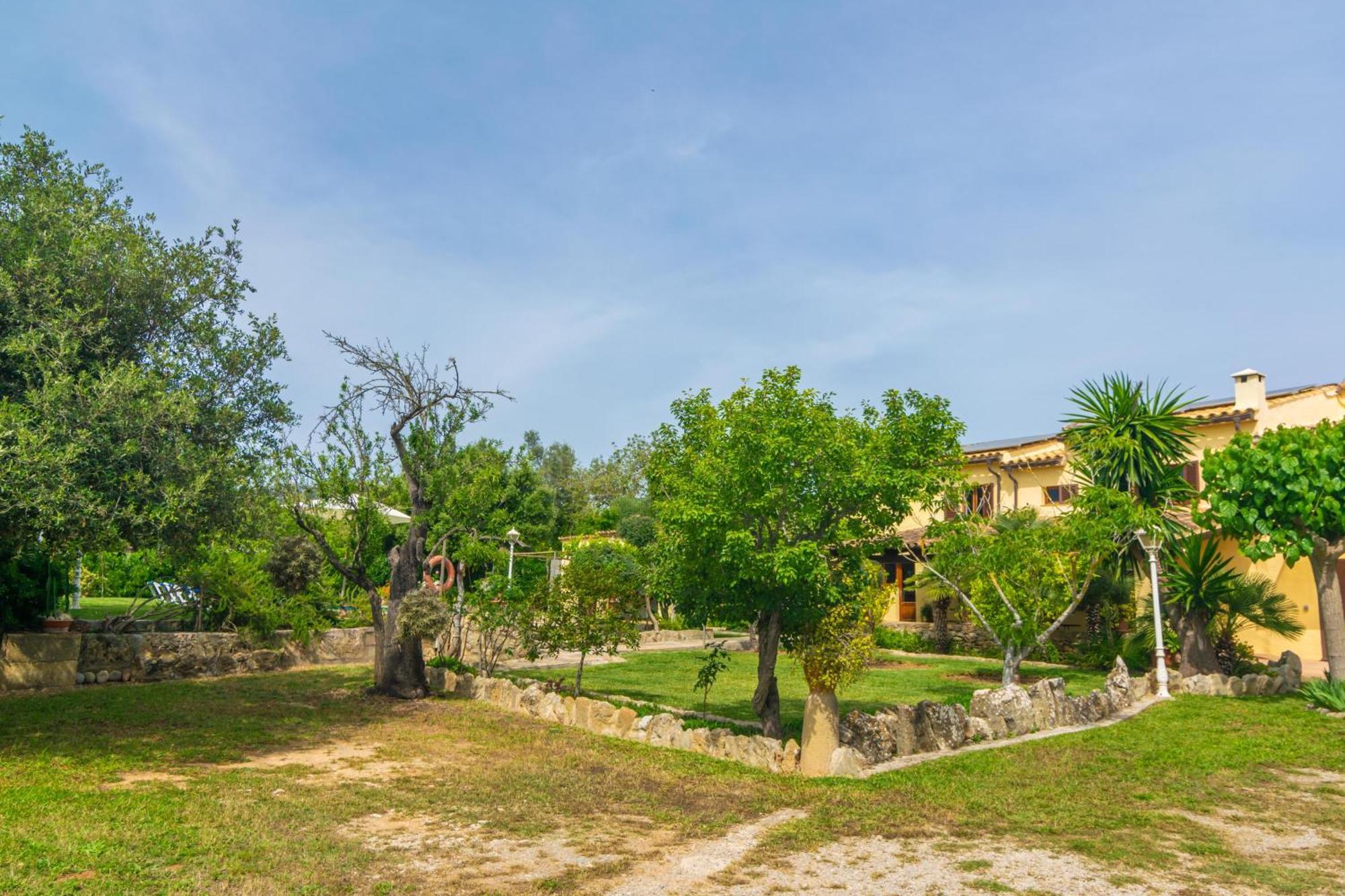 Marina -pollenca- Villa Pollensa